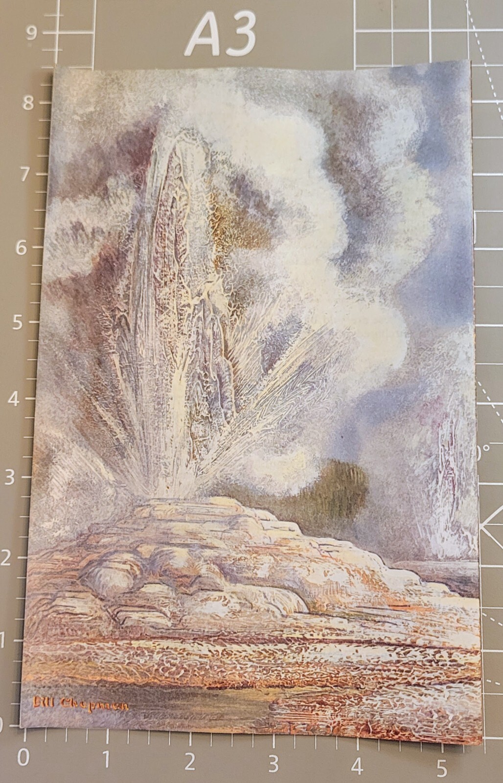 Vtg Bklt Fountain Paint Pot Nature Trail Yellowstone Nat’l Park 1983 Bill Chapma