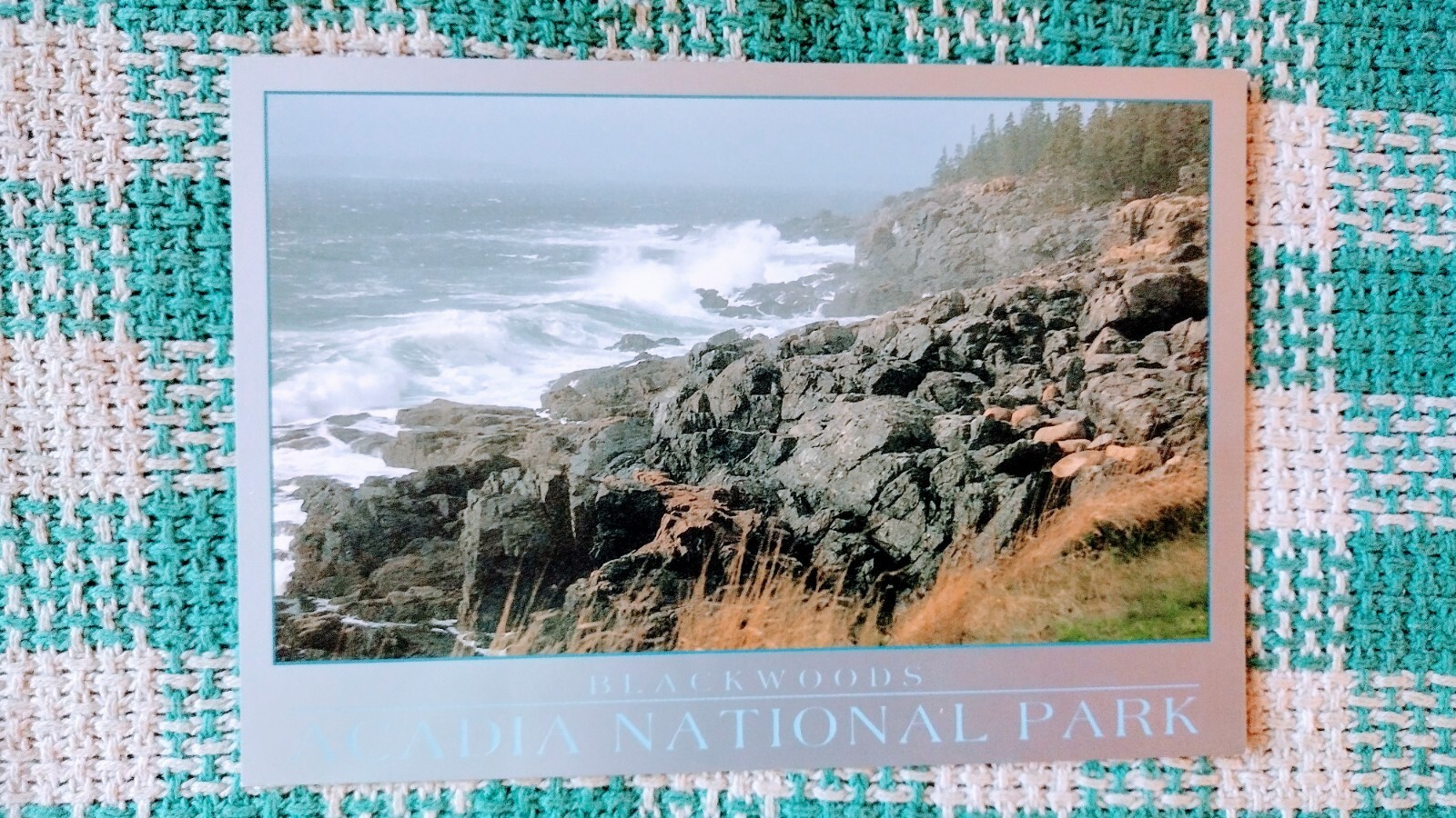 POST CARD BEAUTIFUL BLACK WOODS ACADIA NATIONAL PARK MAINE.