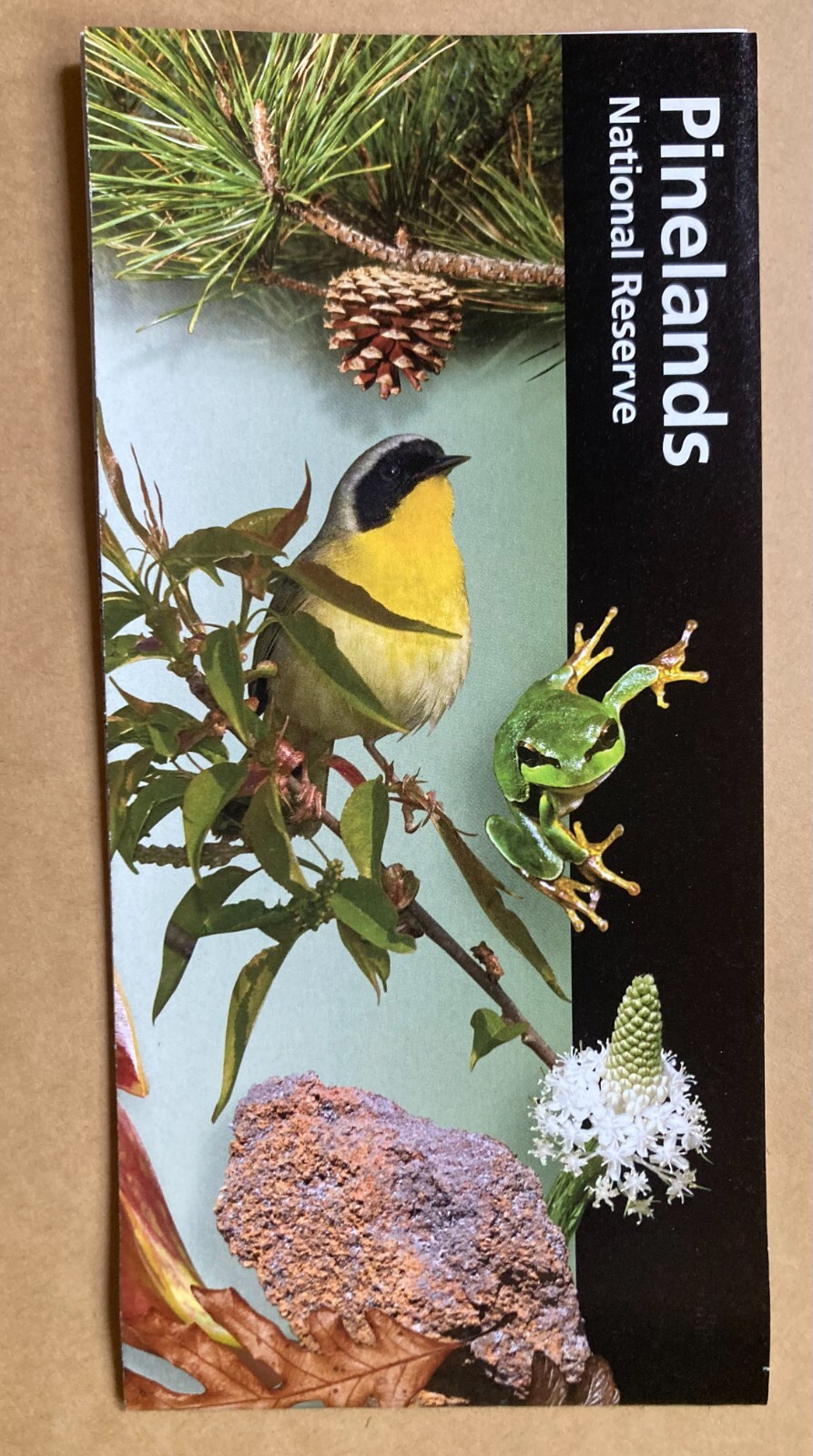 NEW JERSEY PINELANDS NATIONAL PARK UNIGRID BROCHURE ORCHIDS DEVIL KAYAK CAMP