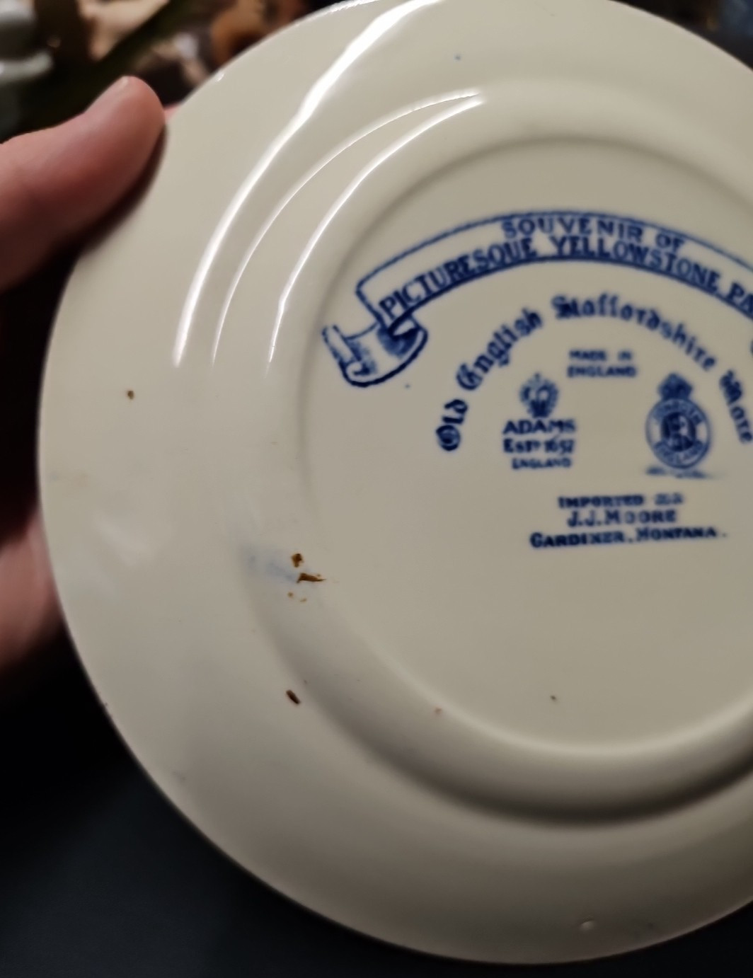 Old Faithful Geyser Blue & White Plate Old English Staffordshire ware Souvenir