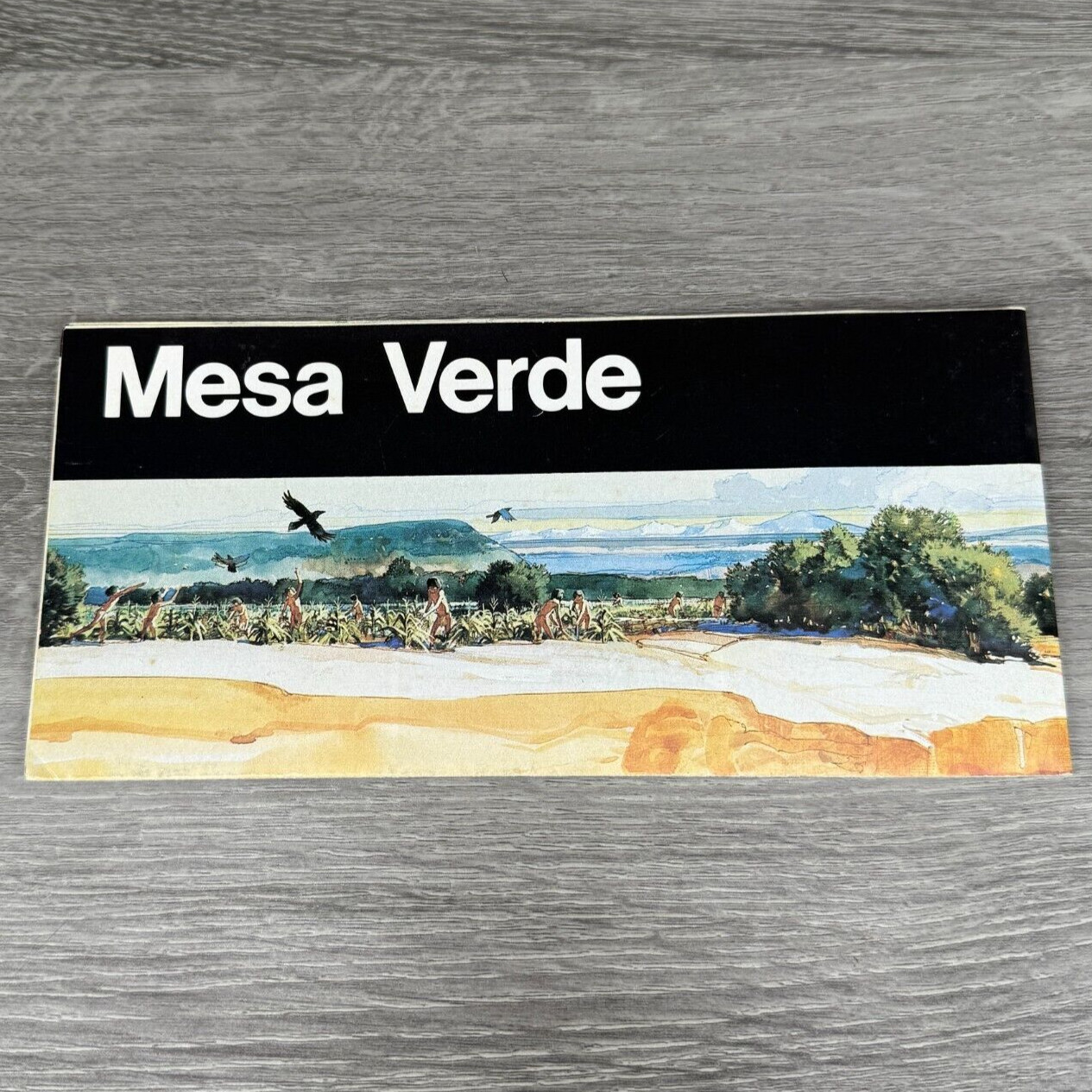 Vtg 1995 Mesa Verde National Park Colorado Brochure USDOI Map Guide History Info