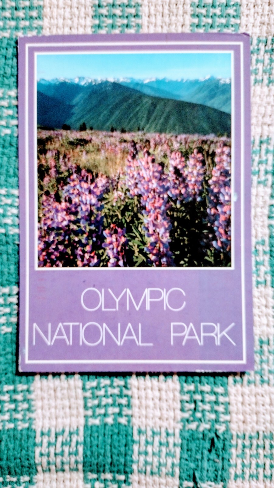 BEAUTIFUL POST CARD OLYMPIC NATIONAL PARK WASHINGTON PACIFIC NORTHWEST