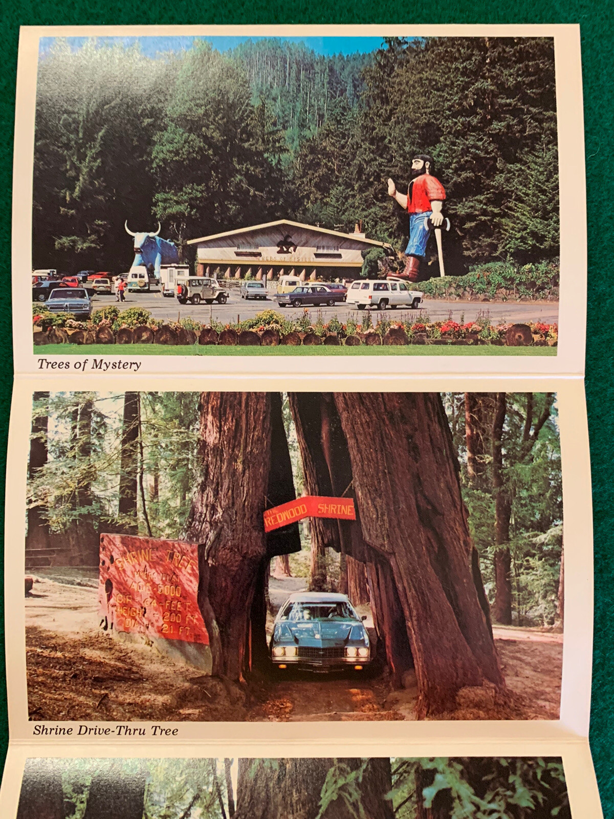 Vintage 1977 The Redwoods and Californias North Coast