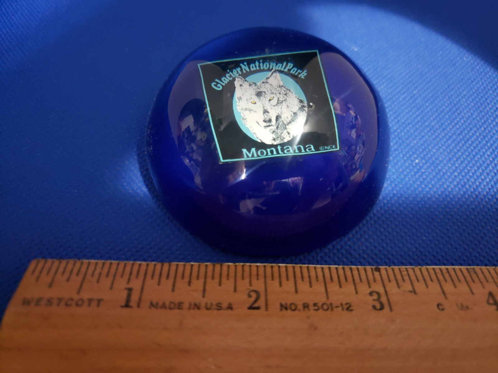 Blue W/ White Wolf Paper Weight Souvenir From Glacier National Park New Gift 🎁