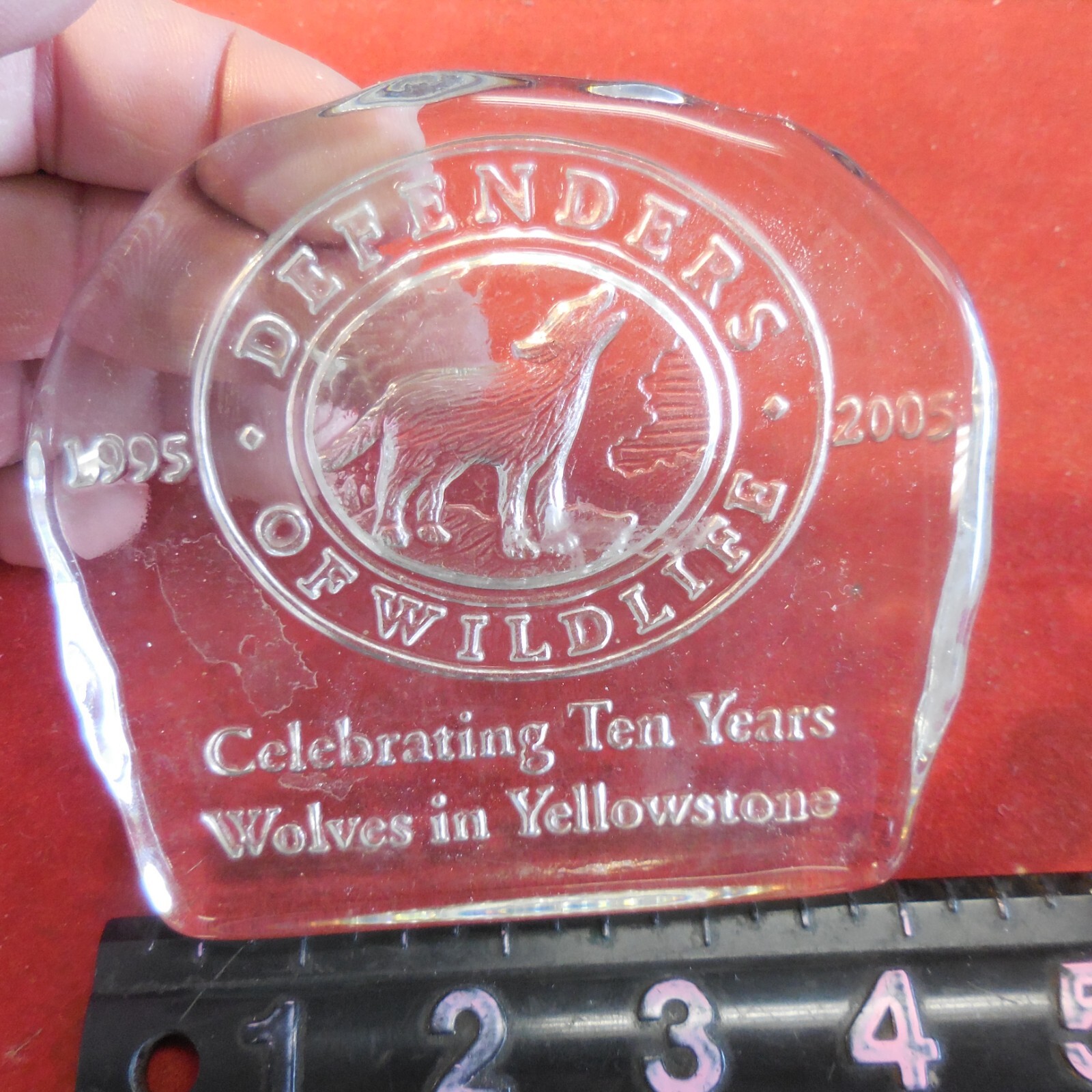 2005 Defenders of Wildlife 10 Years of Wolves in Yellowstone Glass Paperweight