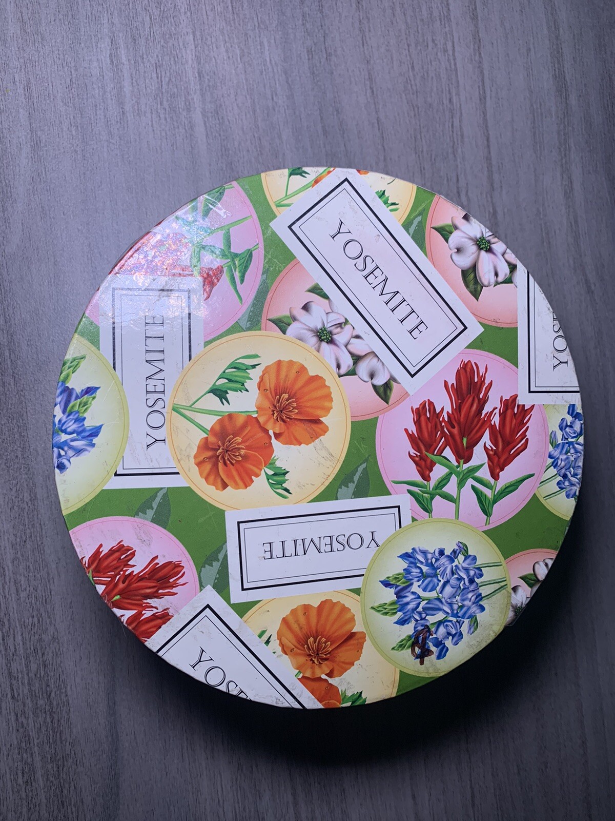 YOSEMITE FLORAL DESSERT PLATES: SET OF 4 YOSEMITE DNC PARKS AND RESORTS 6” NIB