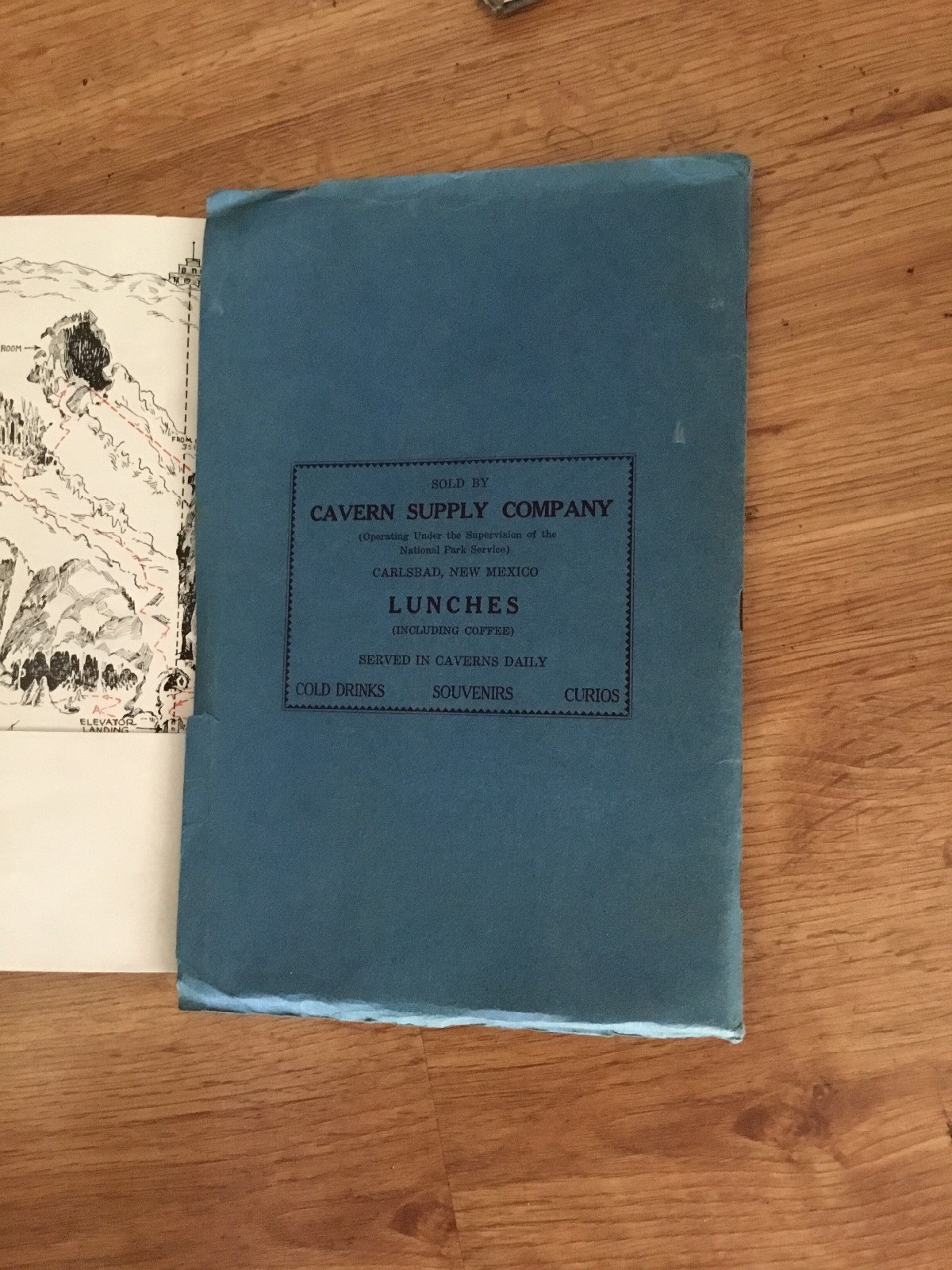 Vtg Carlsbad Cavern of New Mexico Its History Geology 9th Edition 1928