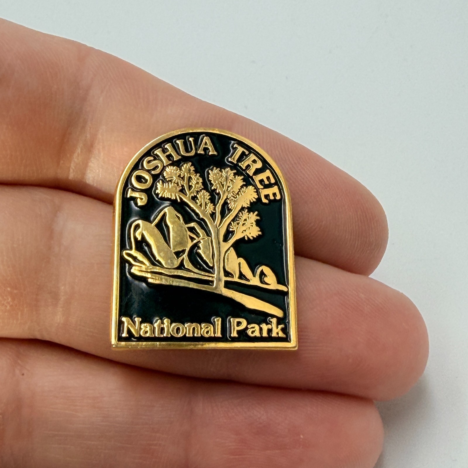 Joshua Tree National Park Desert Landscape Lapel Pin California Travel Souvenir