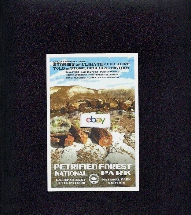 PETRIFIED FOREST NATIONAL PARK TAWA POINT KACHINA POINT TEPEES 2017 POSTCARD
