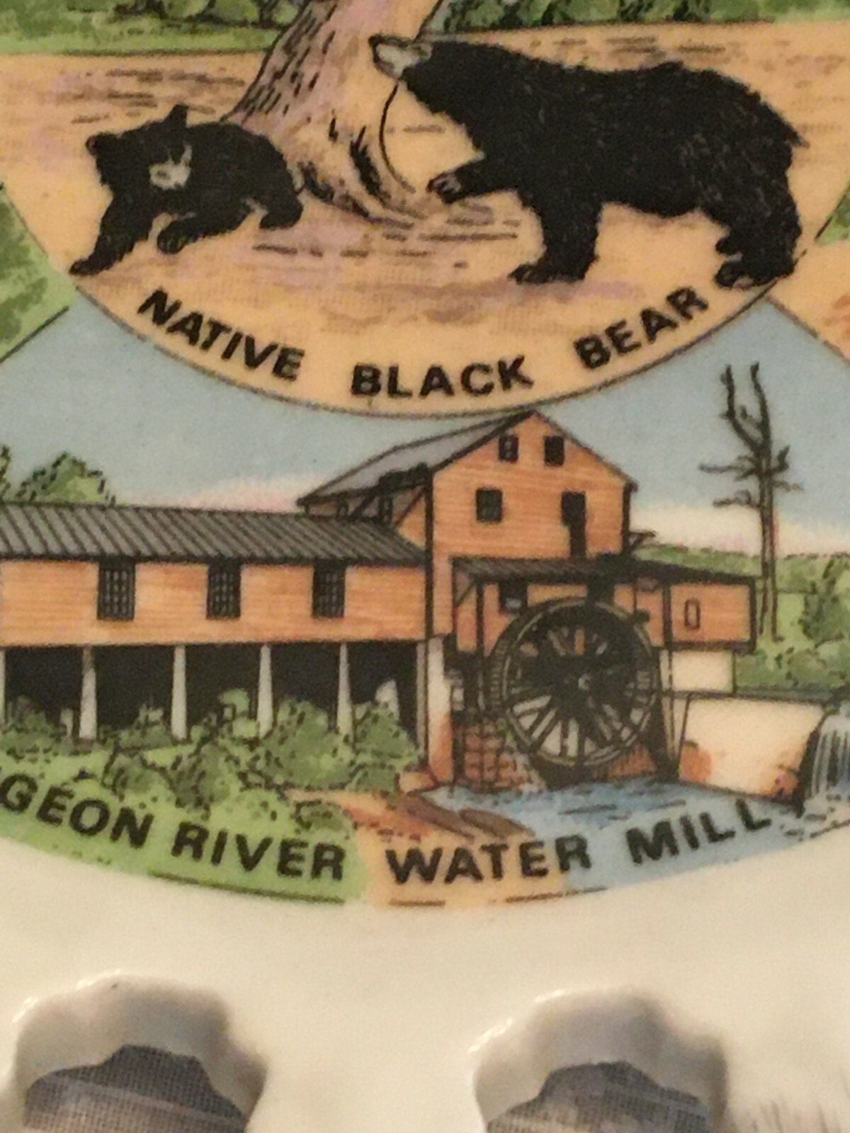 vintage souvenir plate Great Smoky Mts Black bear