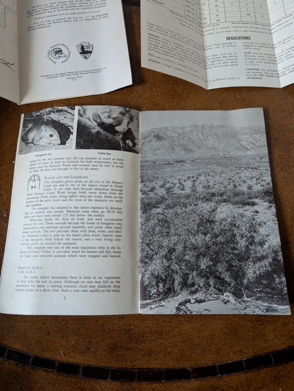 VTG 60s 70s Death Valley National Monument Scotty’s Castle Travel Park Guide