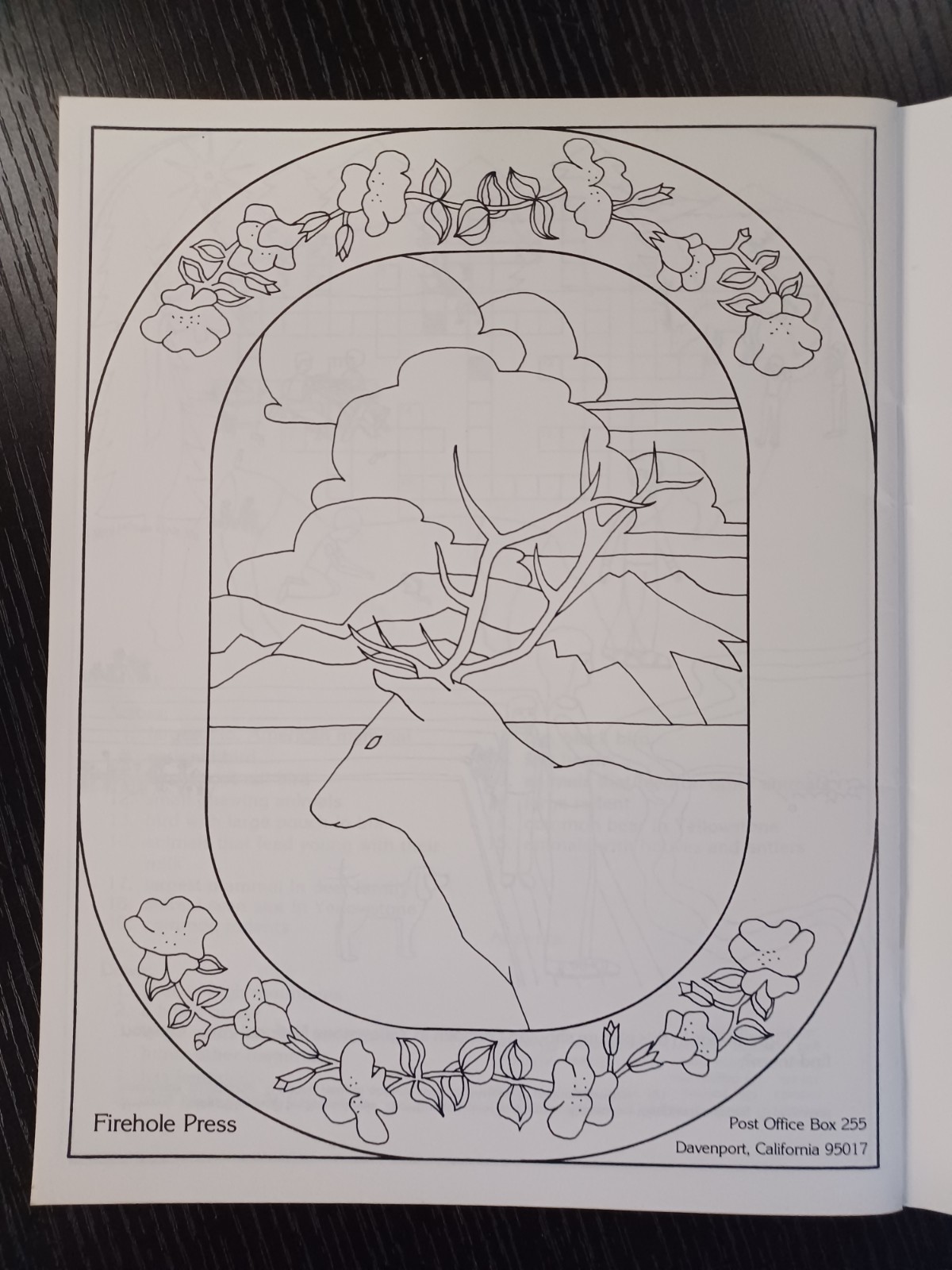 VTG Yellowstone, A Children’s Guide, 1981 National Parks, Coloring Book