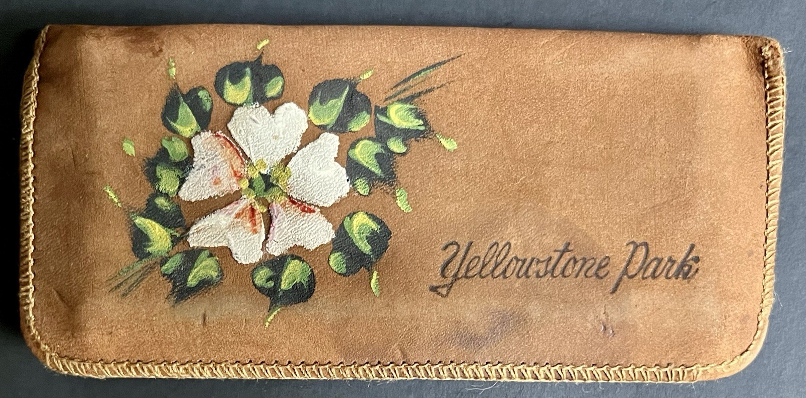 Vintage Souvenir Yellowstone Park Leather Case Comb Mirror Hand Painted Flower