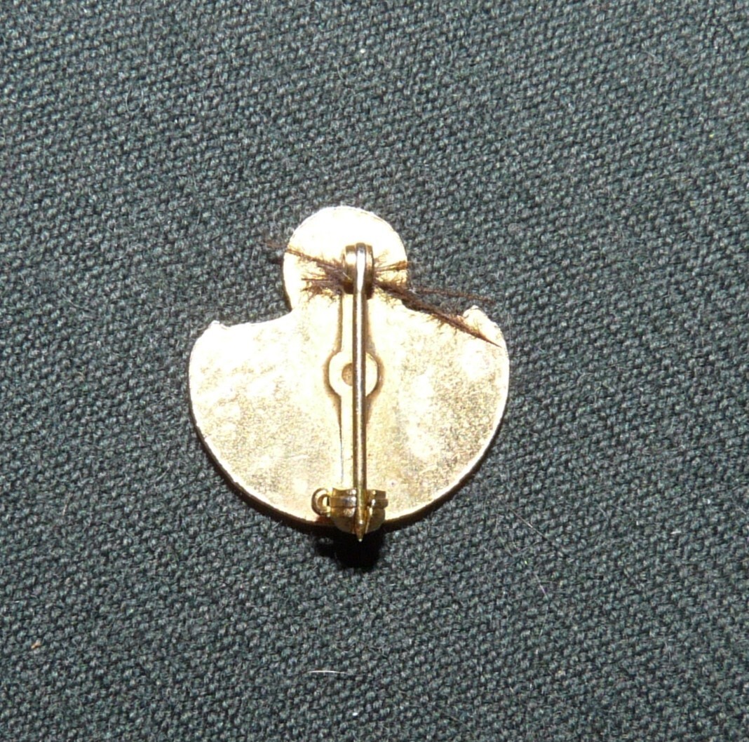 Original Mesa Verde National Park Green Cross 1 Year No Accident Driver Pin