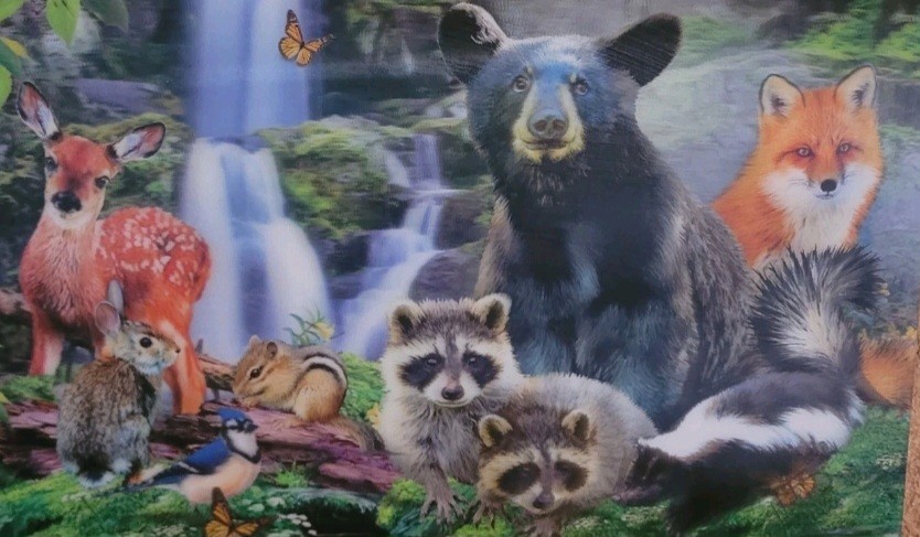 Shenandoah National Park Wildlife 3D Placemats Set of 2 Cabin Lodge Decor