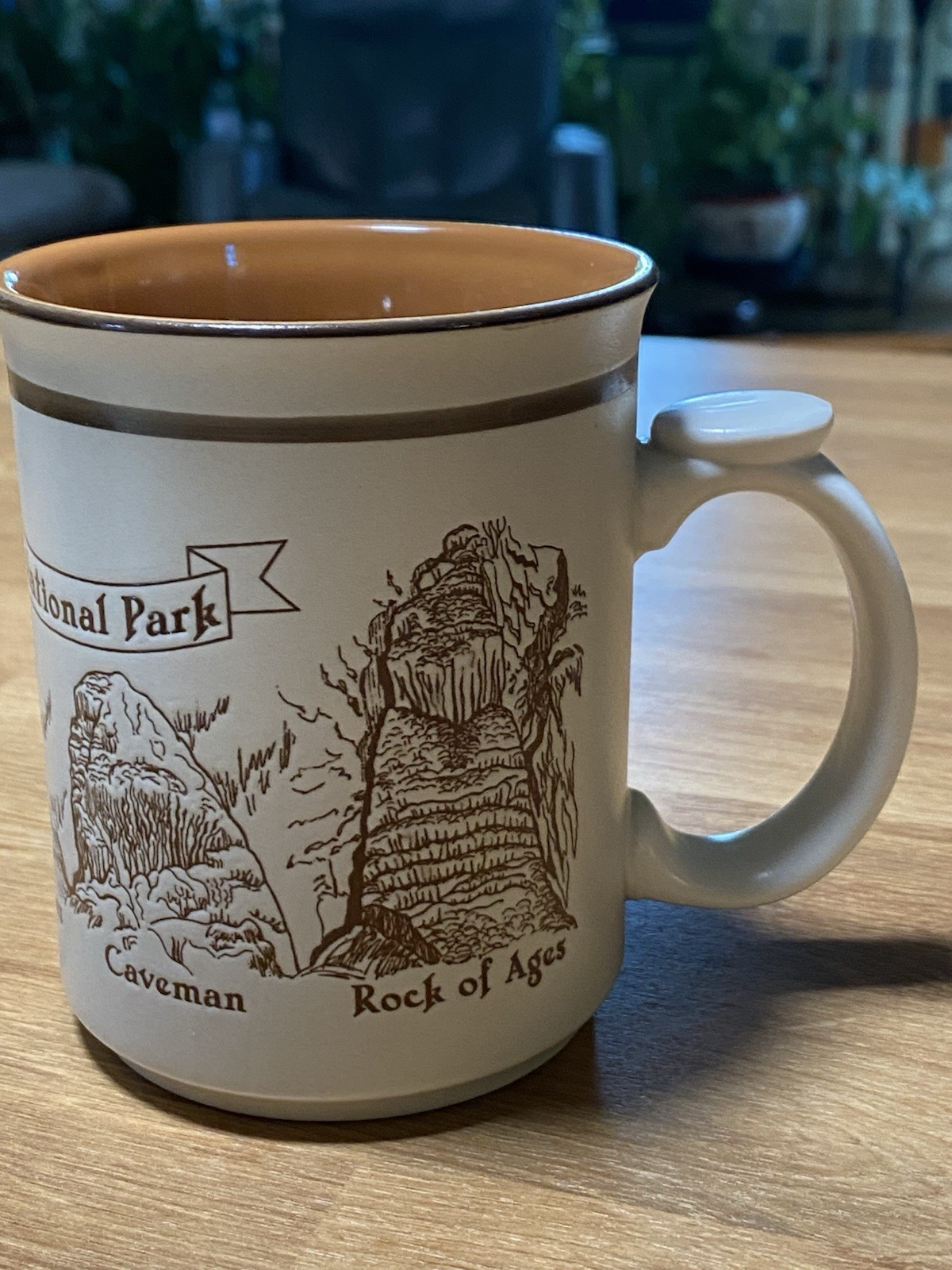 Carlsbad Caverns National Park Embossed Ceramic Coffee Mug New Mexico NOS