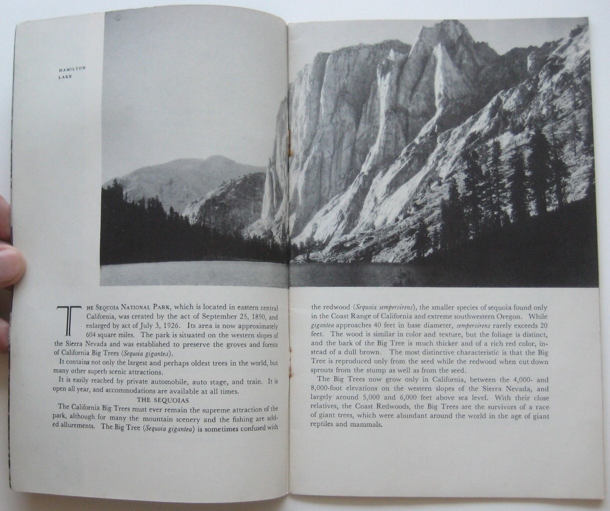 Official 1939 SEQUOIA NATIONAL PARK Guide Book Maps Trails Photos Sherman Tree