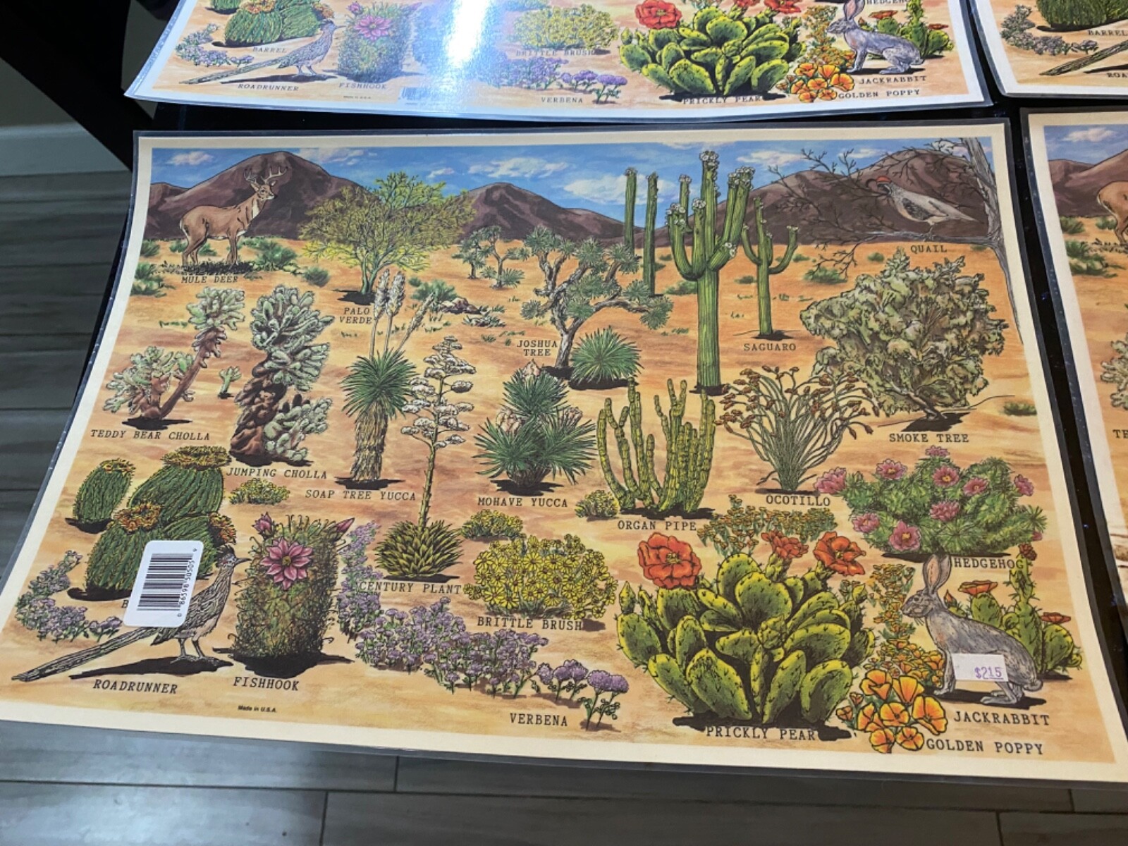 lot of 4 Grand Canyon Painted desert Petrified forest National Parks table mats