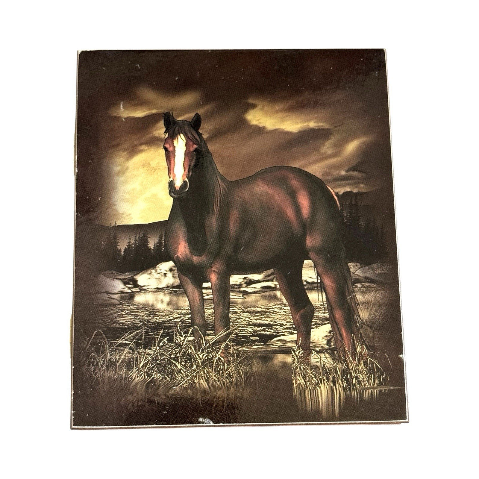 Vintage Lake Placid New York Wood Cedar Box Standing Horse Hinged Souvenir Box