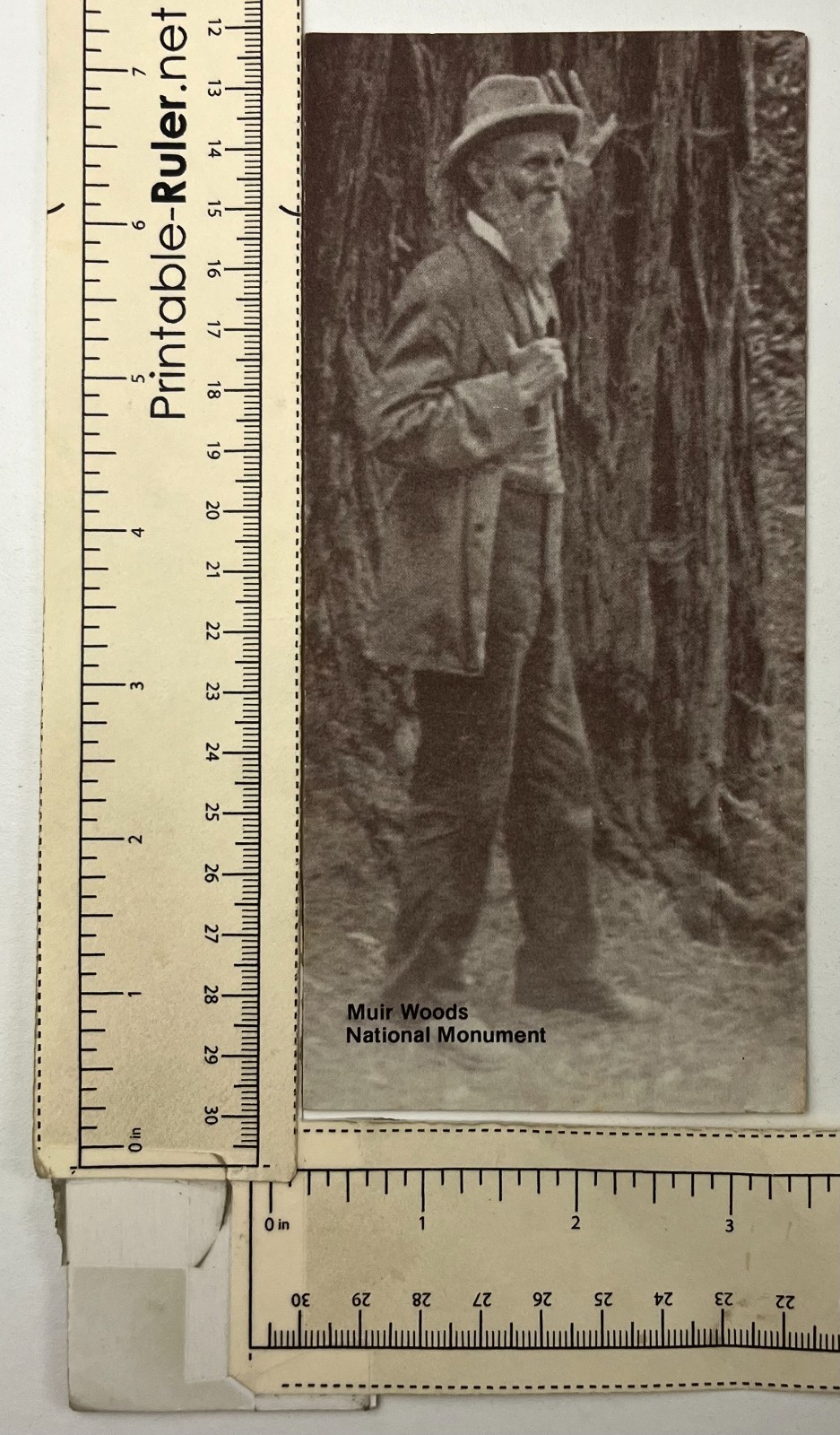 1977 Muir Woods National Monument California Park Guide Vintage Travel Brochure