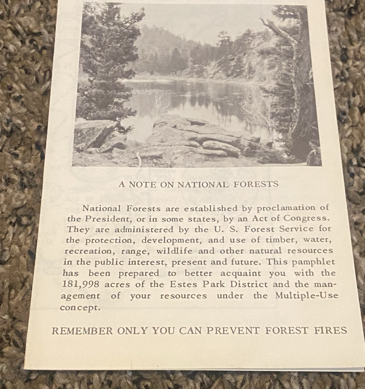 Vtg USDA Estes Park Roosevelt National Forest Brochure Map Smokey Bear Colorado