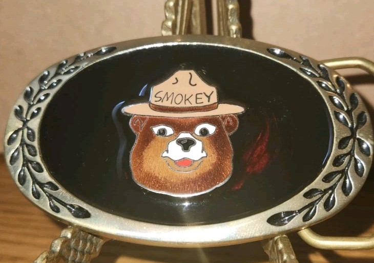 Enamel Smokey Bear Forest Fires Solid Brass Vintage Belt Buckle