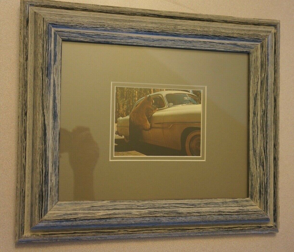 Vintage Mid-Century YELLOWSTONE NATIONAL PARK BEARS & CARS PHOTO RPPC Frame SEE