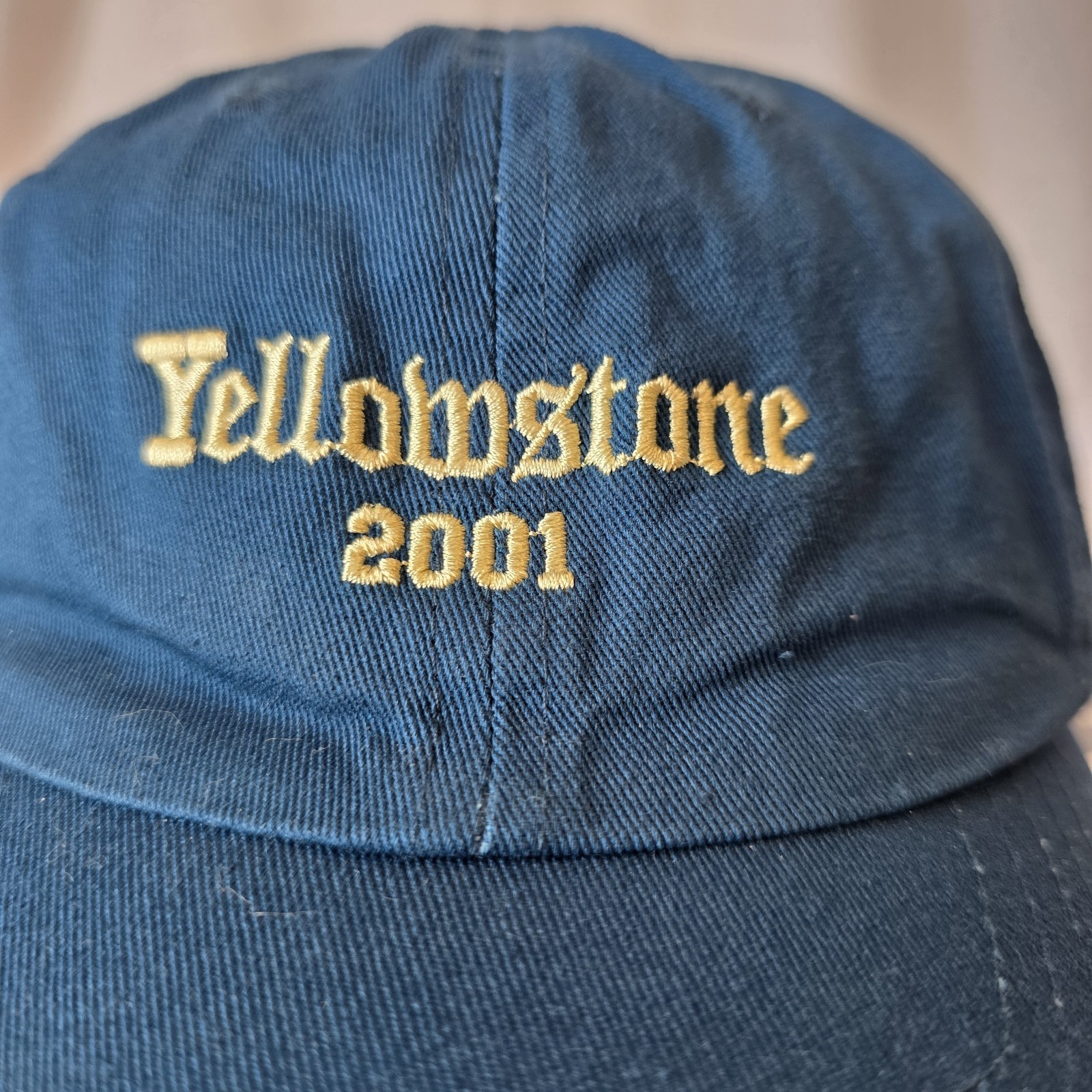 Grizzly Griptape Yellowstone 2001 Hat Teal Blue National Park Dad Cap Strapback