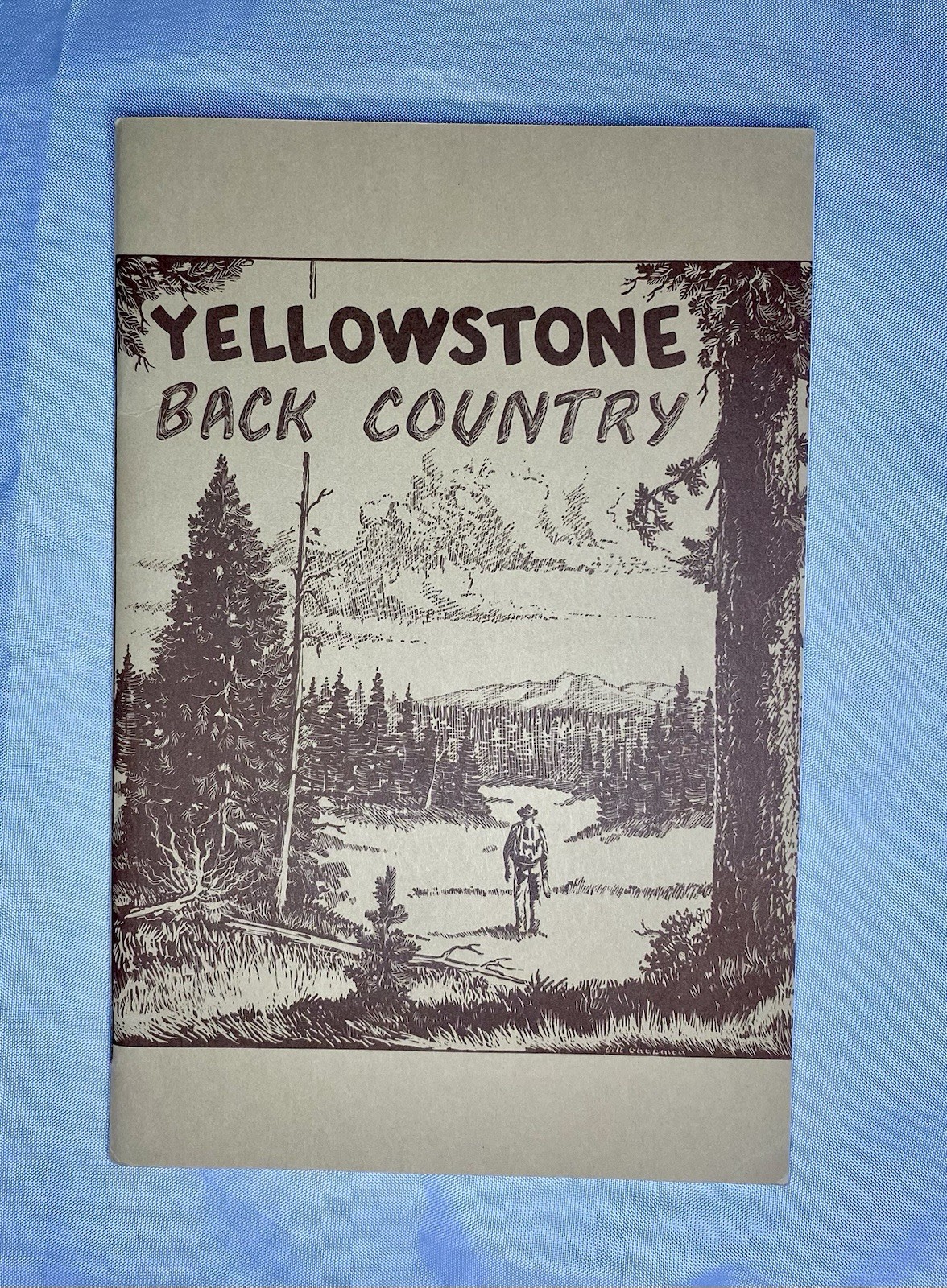 🏕️ Vintage Travel Book Lot of 4 1970s Yellowstone National Park Guides