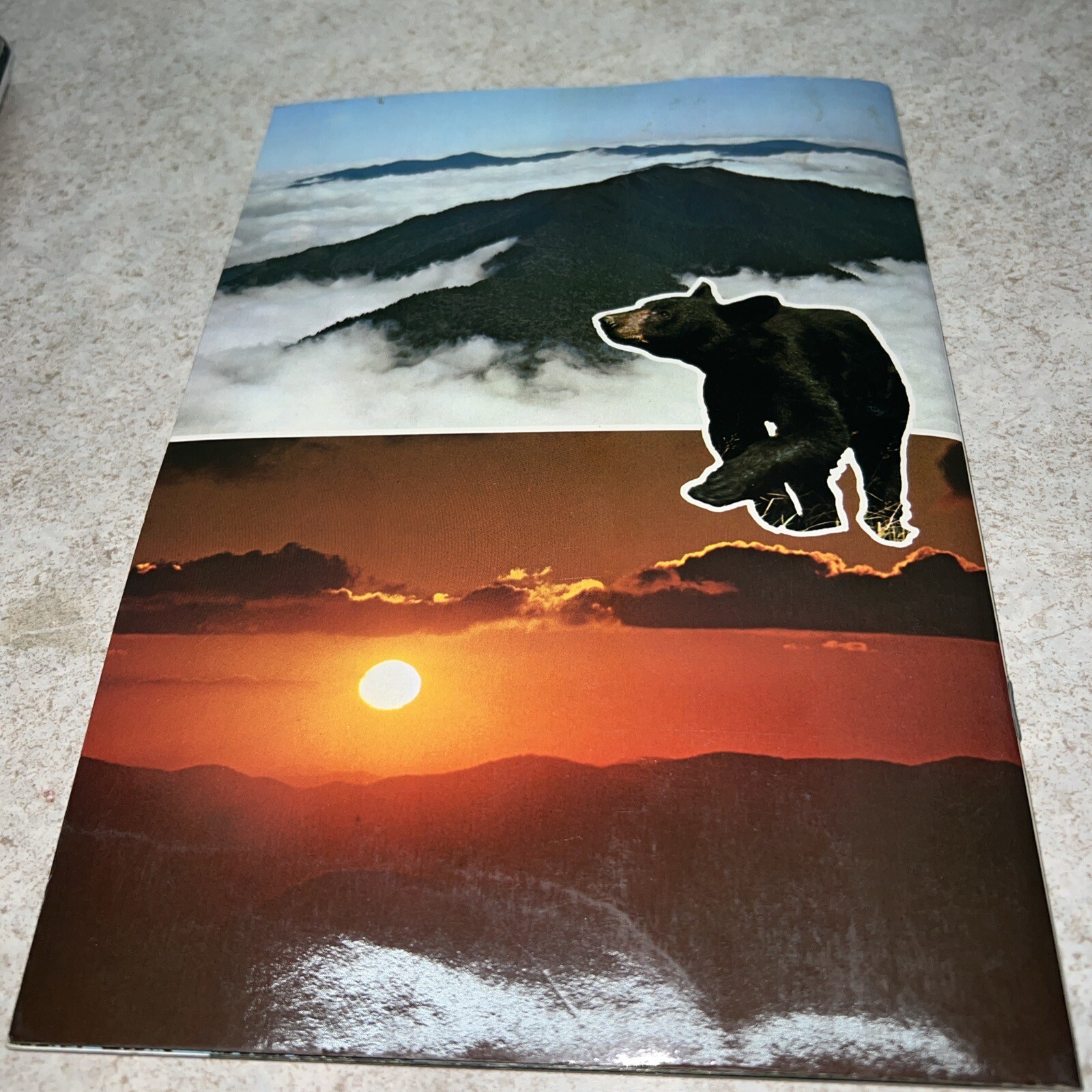 Great Smoky Mountains National Park Full Color Book North Carolina Tennessee
