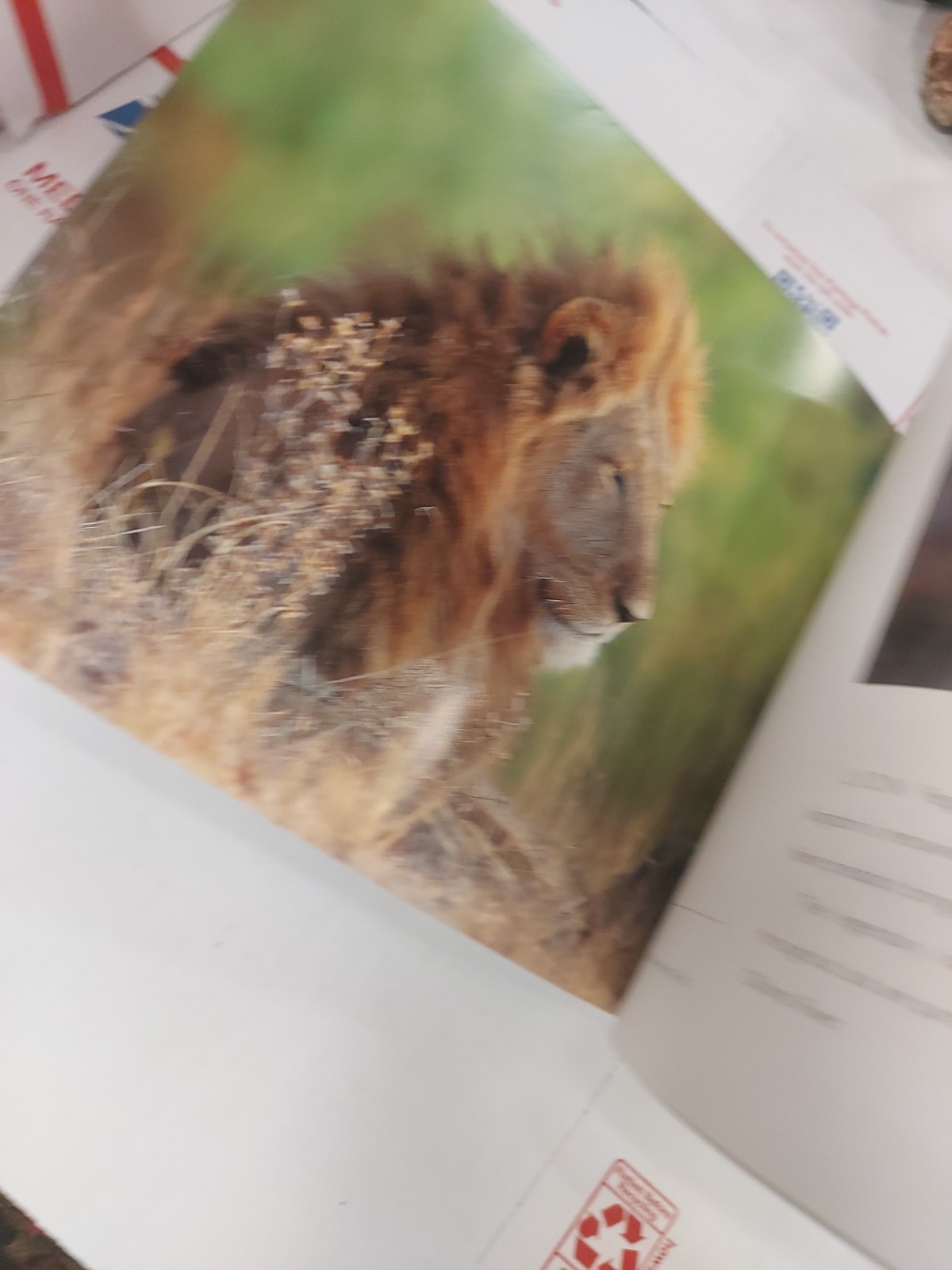Kruger National Park South Africa Book Land Of contrast People Southern Africa