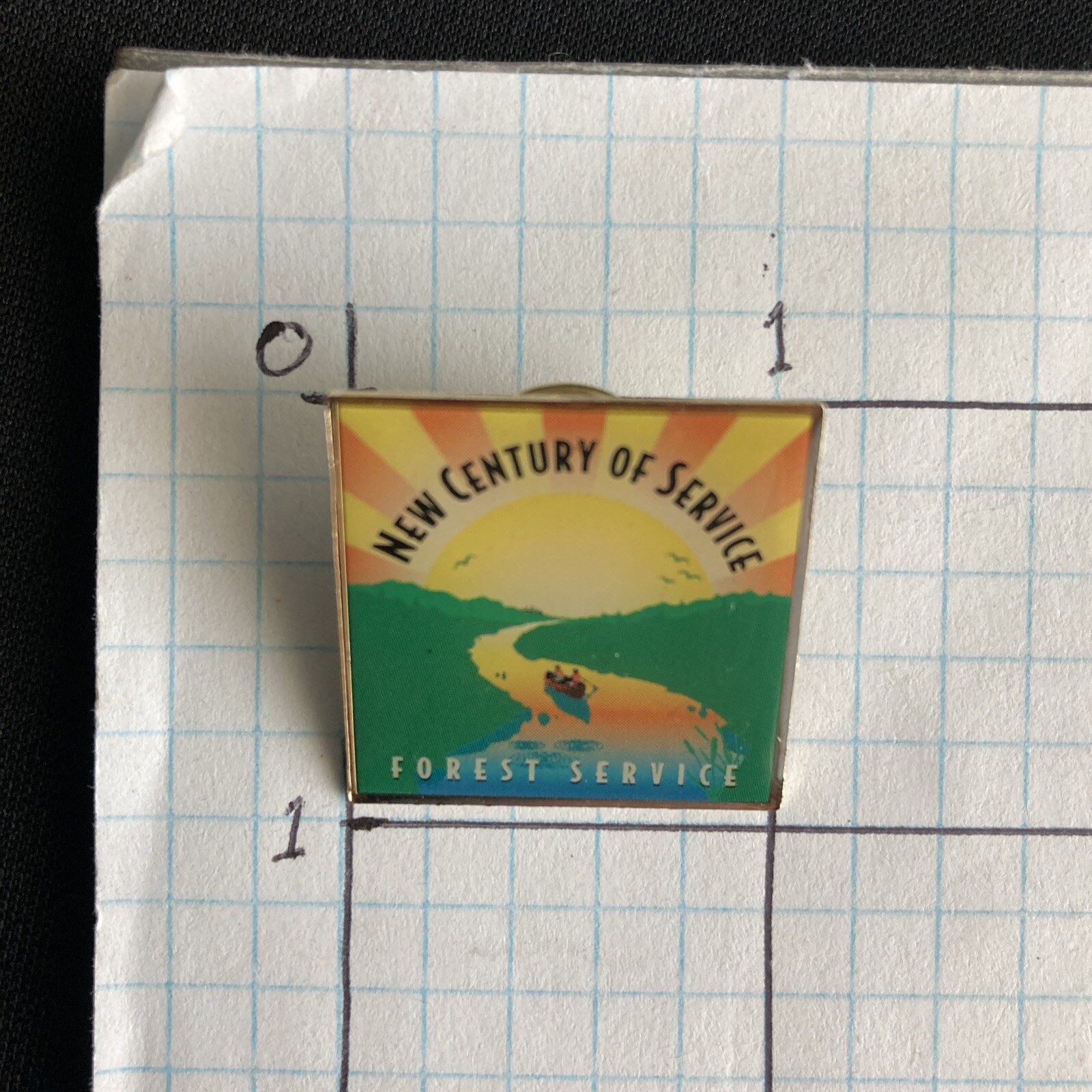 US Forest Service New Century of Service VTG Lapel Hat Pin USDA IJWU Union Made