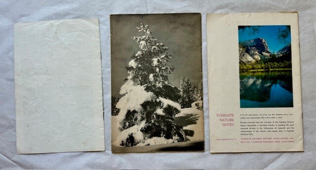 Yosemite Booklets of Wildflowers, Trees, Geology Rare 1938-39