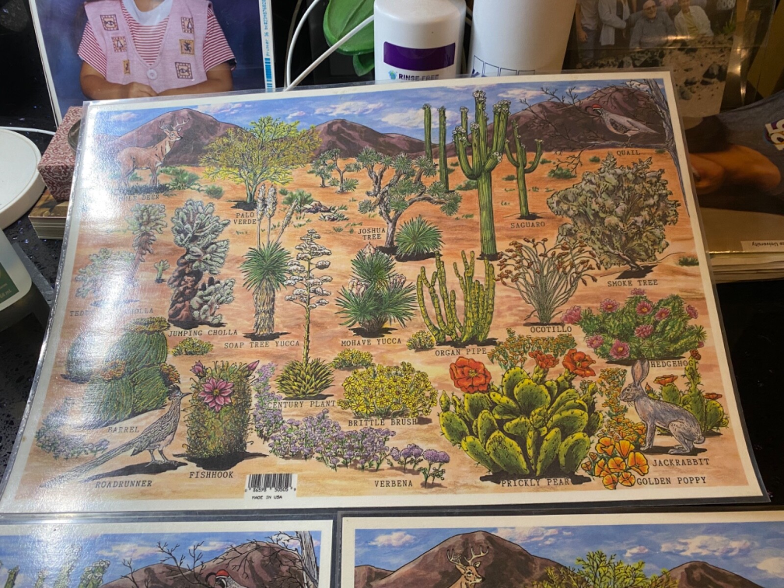 lot of 4 Grand Canyon Painted desert Petrified forest National Parks table mats