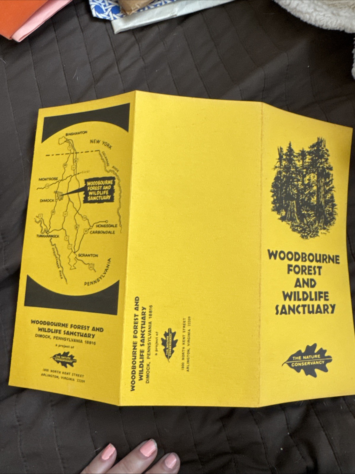 2 Vintage Guides To Nature Trail Guide 1984 Dimock Pa Hike Walk Tour Woodbourne