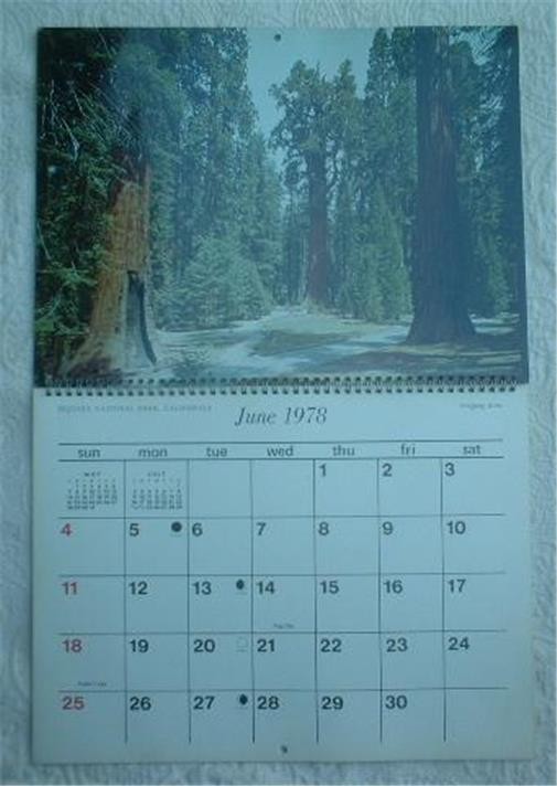 1978 AMERICA’S NATIONAL PARKS & MONUMENTS PICTORIAL CALENDAR ~BIG BEND YOSEMITE+