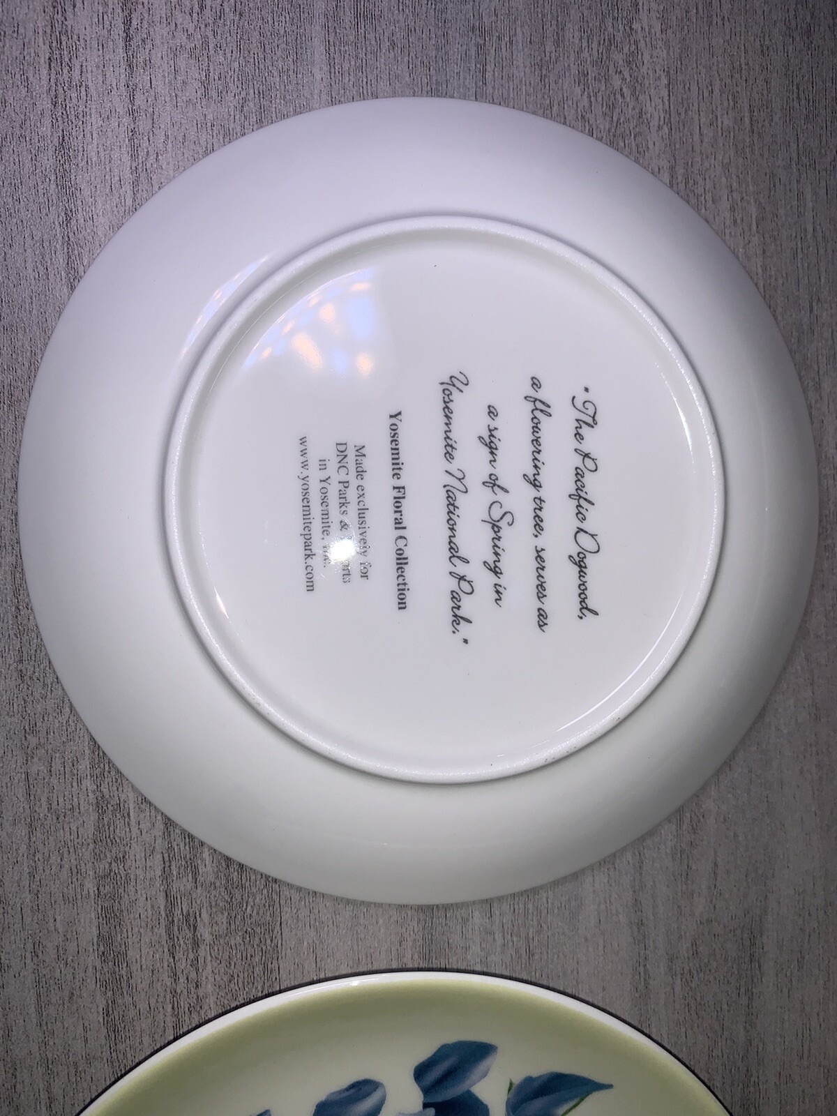 YOSEMITE FLORAL DESSERT PLATES: SET OF 4 YOSEMITE DNC PARKS AND RESORTS 6” NIB