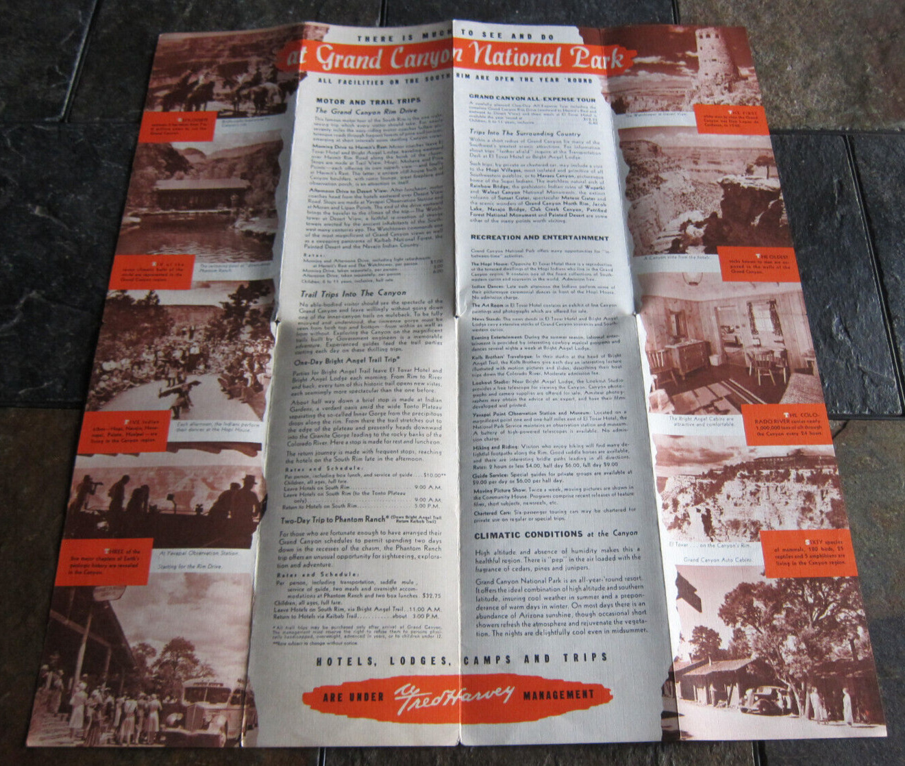 Vintage Brochure GRAND CANYON National Park Arizona Fred Harvey