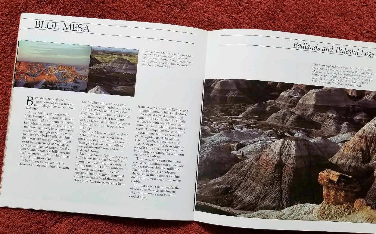 Earth Journey A Road Guide To The Petrified Forest 1984 by Stephen Trimble