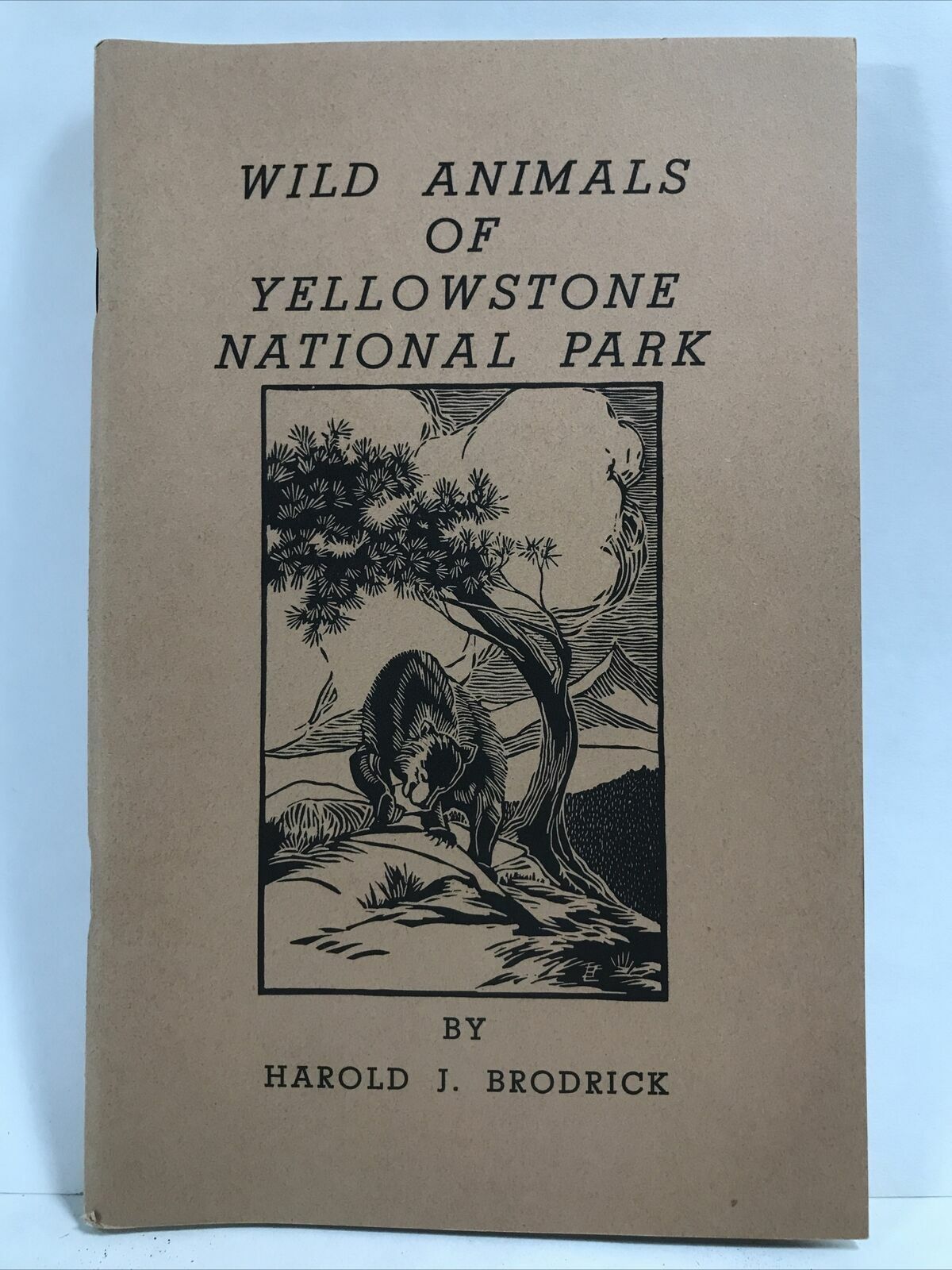 1952 WILD ANIMALS OF YELLOWSTONE NATIONAL PARK by Harold J. Brodrick Booklet