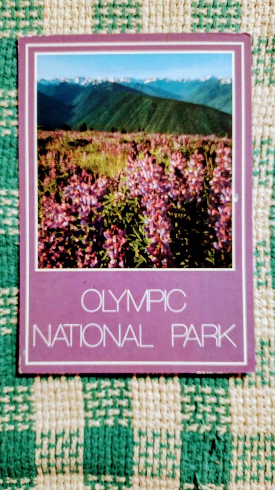 BEAUTIFUL POST CARD OLYMPIC NATIONAL PARK WASHINGTON PACIFIC NORTHWEST