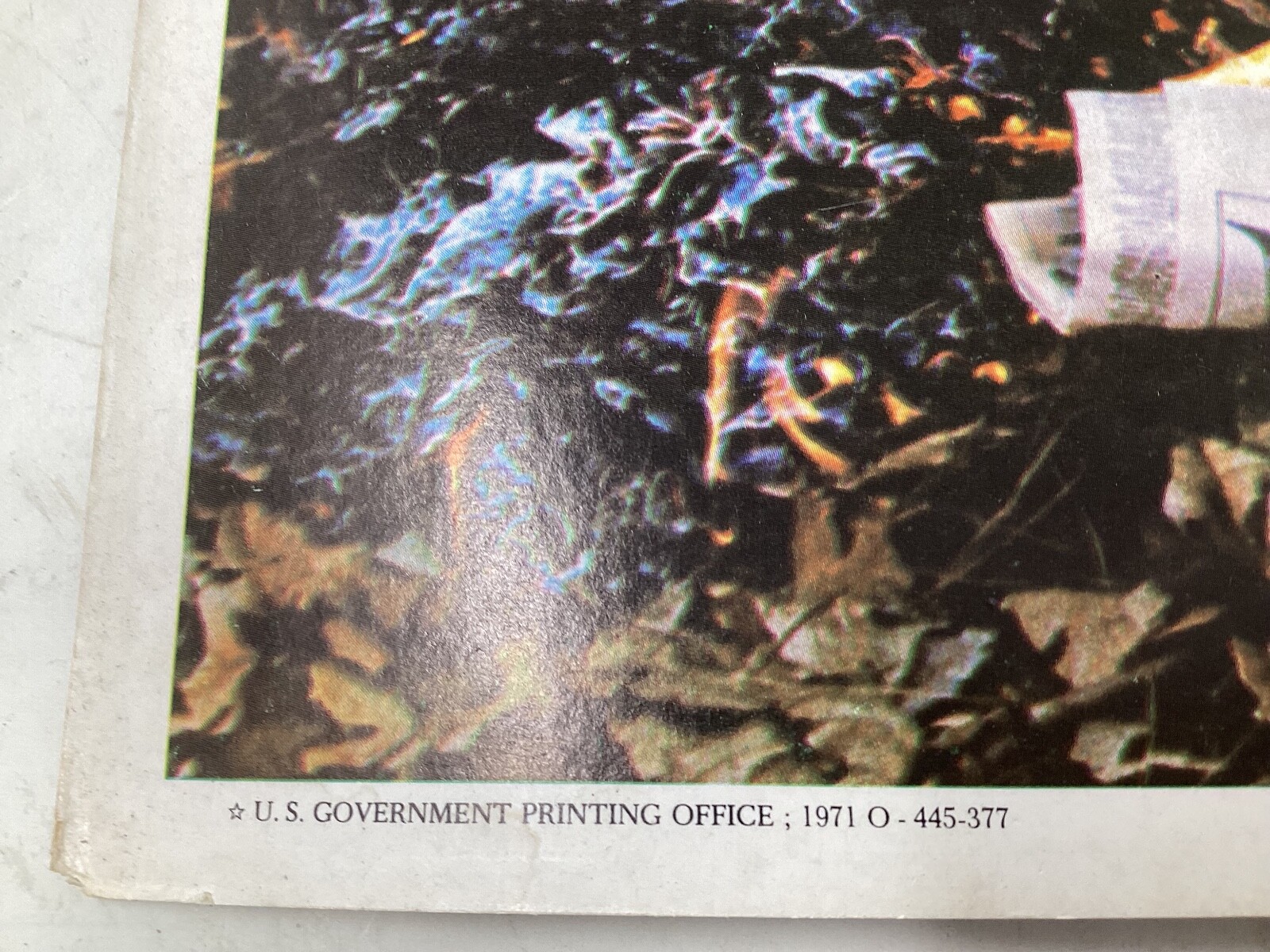 Vintage 1971 Don’t Let Fire Get Away From You Poster Environmental Fire Prevent