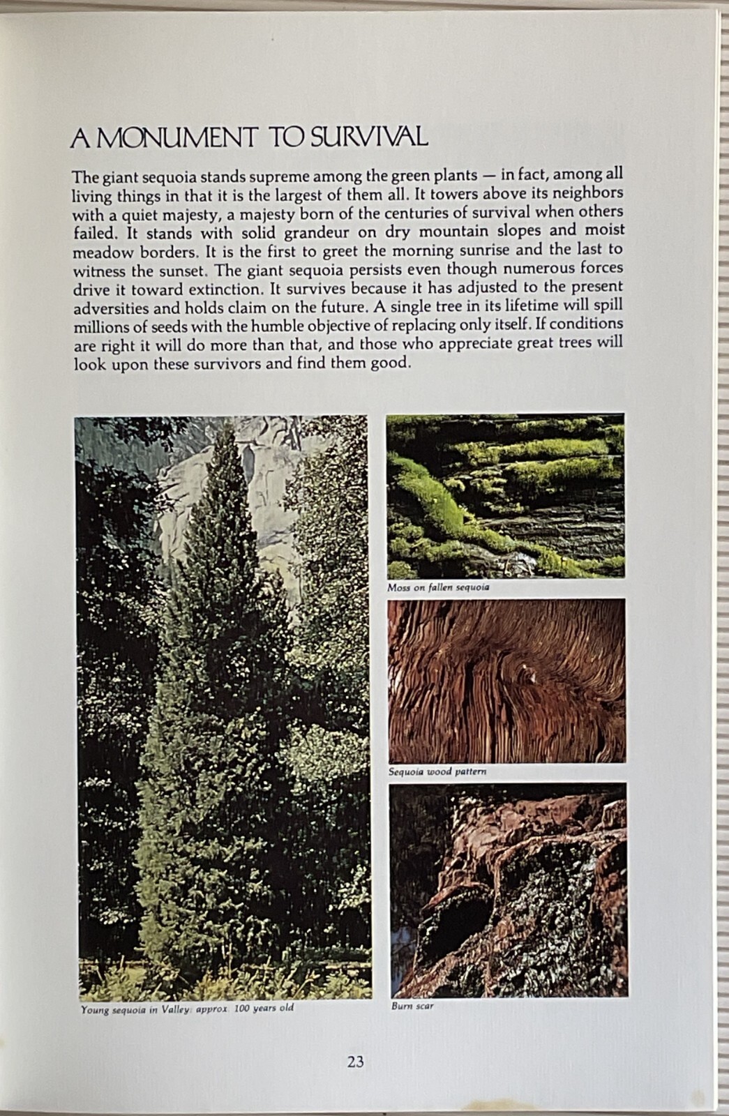1970 Yosemites Famous Guests by Shirley Sargent & The Sequoias of Yosemite Park