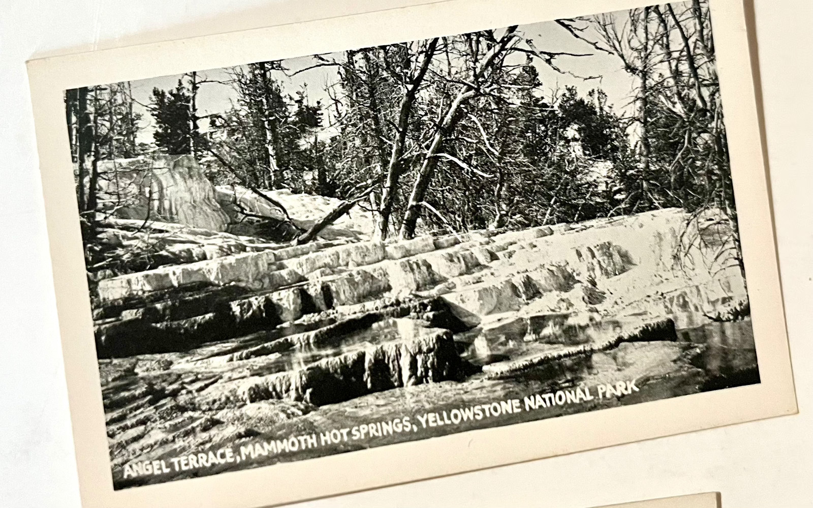 1923 Bardell Fototone Miniatures 20 Views Yellowstone National Park Photo Set-VG