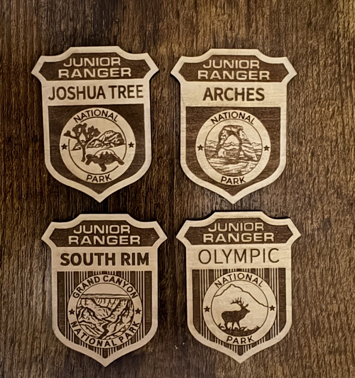 All National Park Service Junior Ranger Badges – Sold Individually