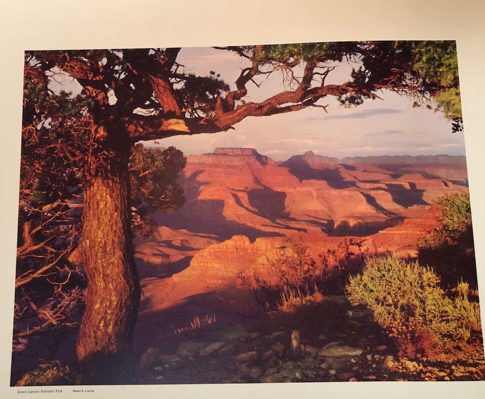 RARE 1953 National Parks Portfolio No. 1 12 lithograph scenes on special paper