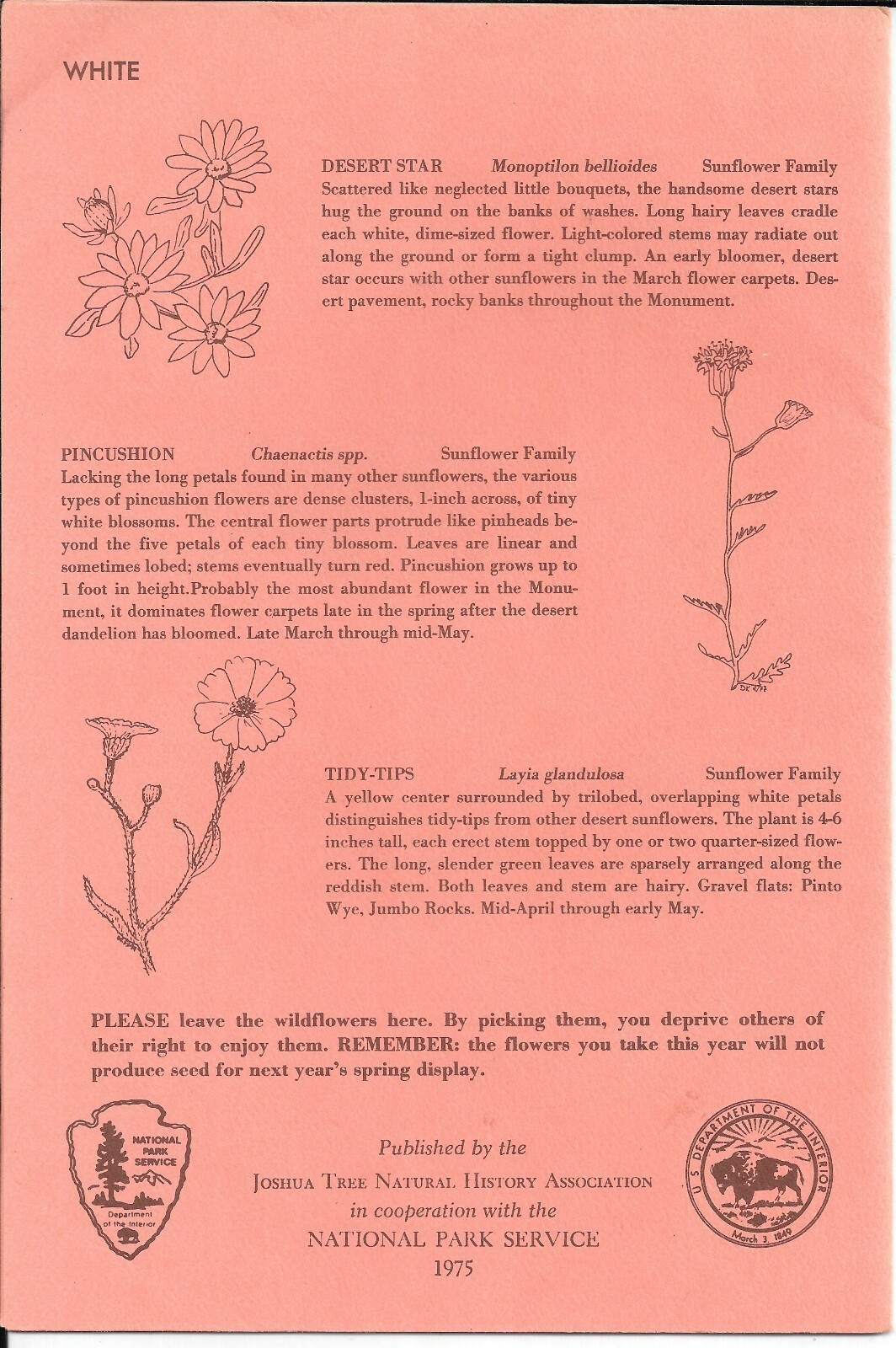 Vintage 1975 POLLEN ON YOUR NOSE, Wildflowers of JOSHUA TREE NATIONAL MONUMENT