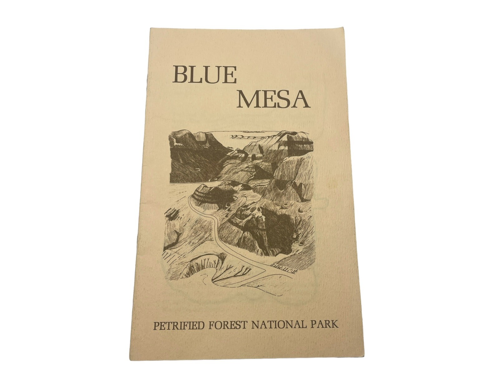 Vintage Arizona Blue Mesa Petrified Forest National Monument Booklet Brochure