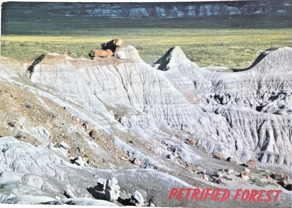 Petrified Forest NP Arizona Balanced Logs on Eroded Hills Unused Postcard
