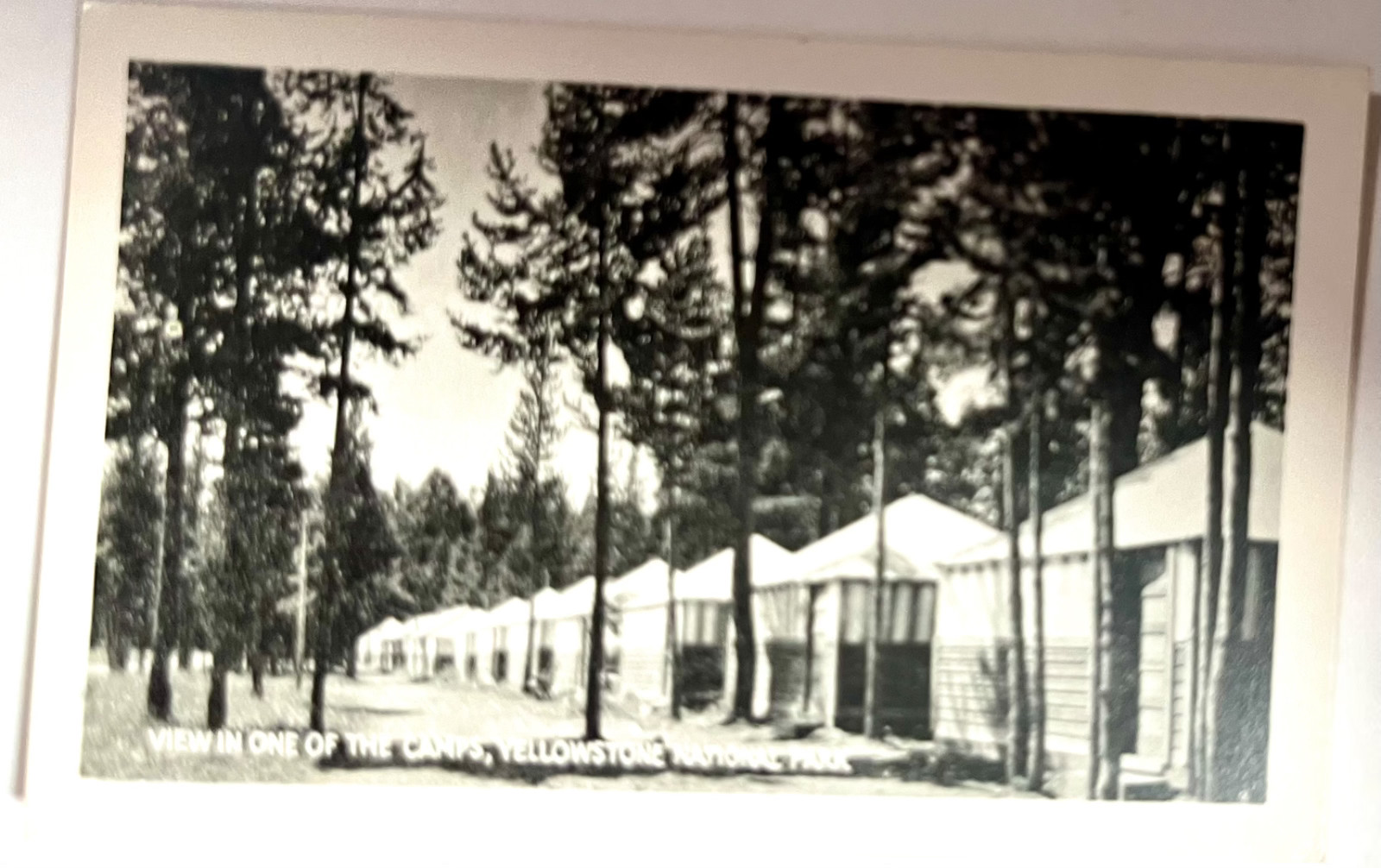 1923 Bardell Fototone Miniatures 20 Views Yellowstone National Park Photo Set-VG